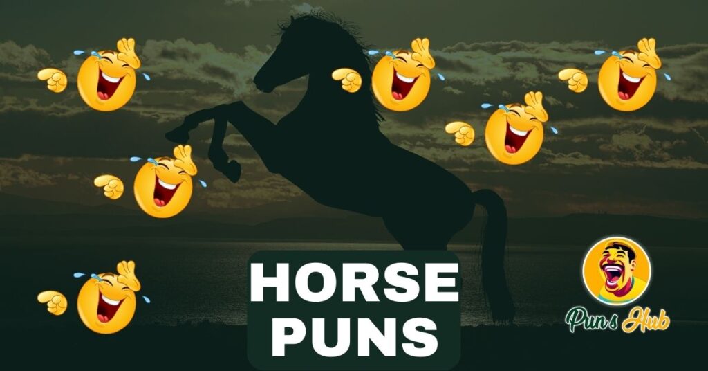 Horse Puns One Liners