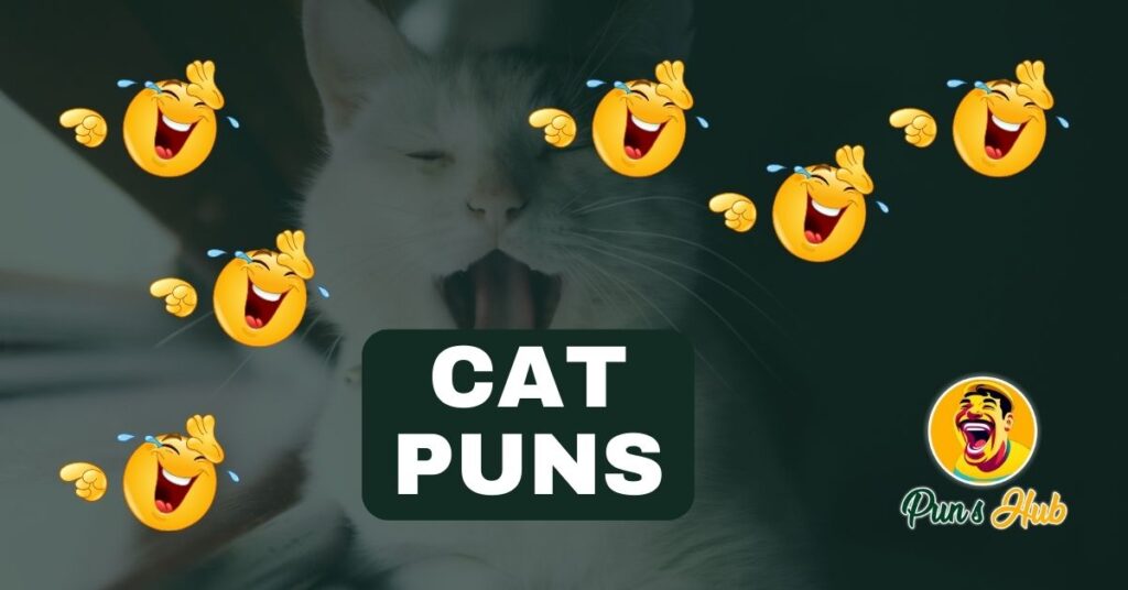 The Best Cat Puns to Make You Purr with Laughter!