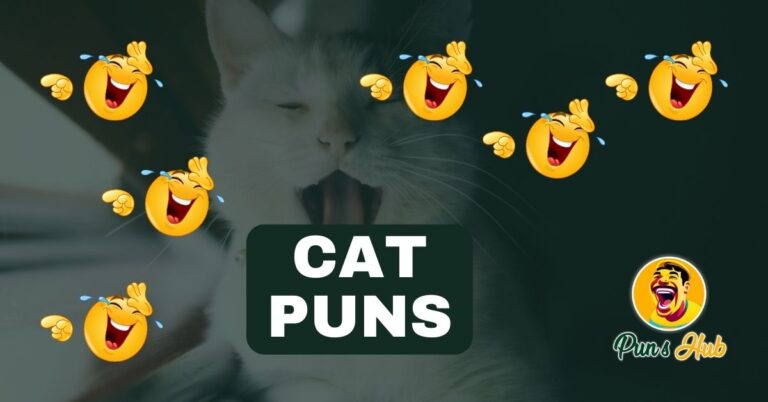 The Best Cat Puns to Make You Purr with Laughter!