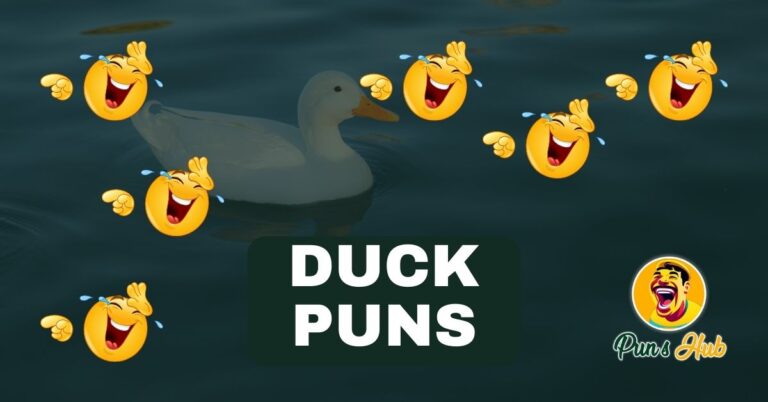 Funny Duck Puns